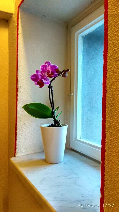 Le Rondini Di San Donato Bed & Breakfast Lucca Ngoại thất bức ảnh